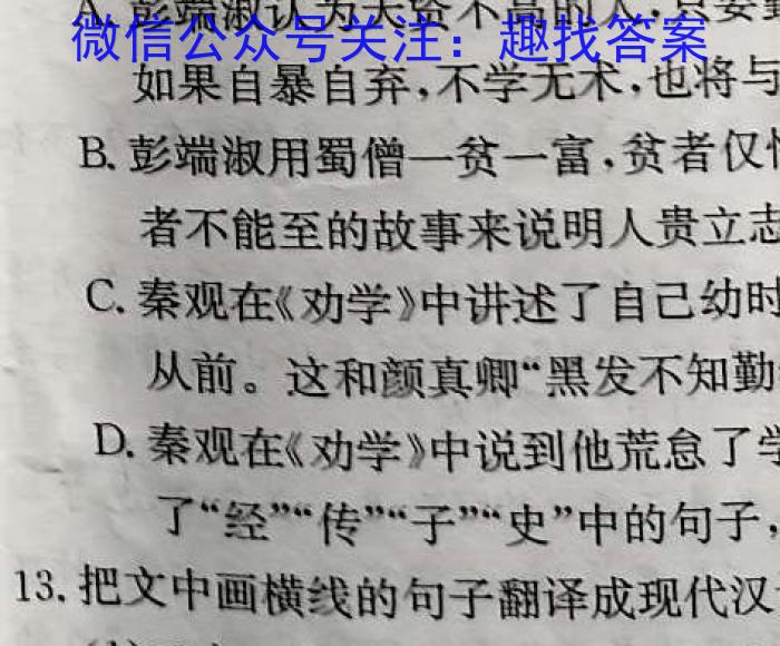 安徽省2024年九年级教学检测(CZ118c)语文