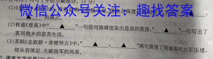 ［聊城三模］2024年聊城市高考模拟试题（三）语文