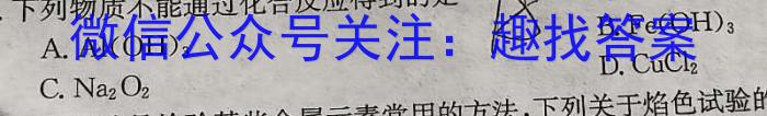 q甘肃省2024年九年级中考模拟试卷(5月)化学