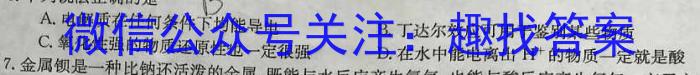 3甘肃省2024届高三年级下学期2月联考（高三检测）化学试题