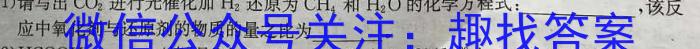 河北省沧衡学校联盟高一年级2023-2024学年下学期期中考试(24-447A)化学