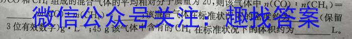 江西省南昌外国语学校教育集团2023-2024学年度第二学期期末质量检测八年级化学