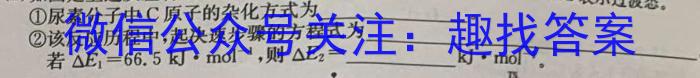 河南省驻马店市驿城区2024-2025学年八年级上学期第二次学情反馈化学