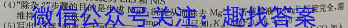 陕西省2023-2024学年度九年级第二学期开学收心检测卷化学