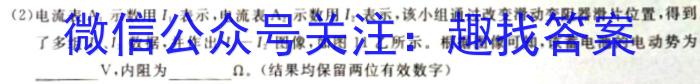 2024届中考导航总复习·模拟·冲刺·二轮模拟卷(三)物理试卷答案