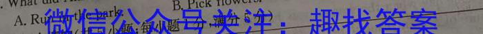 新疆维吾尔自治区2024年普通高考第一次适应性检测英语试卷答案