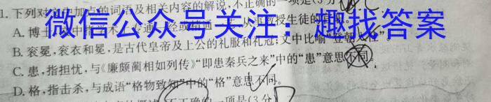 佩佩教育2024年高考湖南四大名校名师团队猜题卷(C)语文