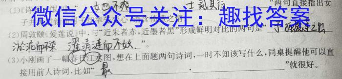 学林教育 2024年陕西省初中学业水平考试·全真模拟卷(三)3语文