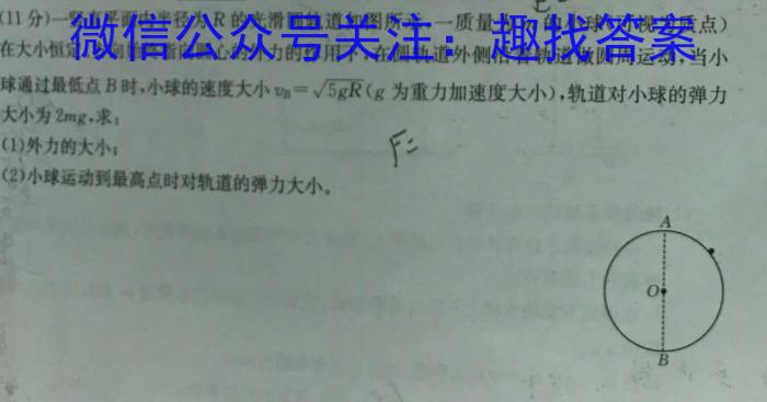 陕西省2023-2024学年度第二学期八年级课后综合作业（一）C物理试卷答案