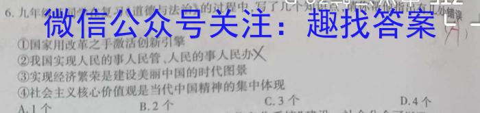 2024年高考真题(新高考)政治~