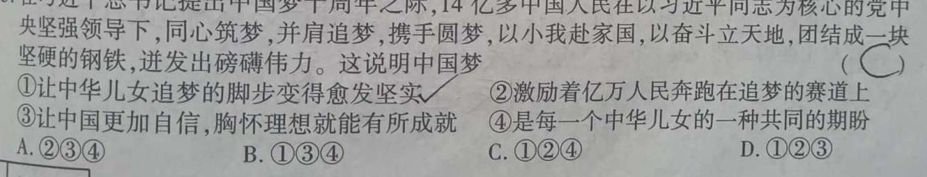 安徽省2024届九年级第二次调研考试(CZ192c)思想政治部分