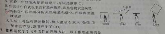 【热荐】陕西省2024年九年级第二次模拟考试A化学