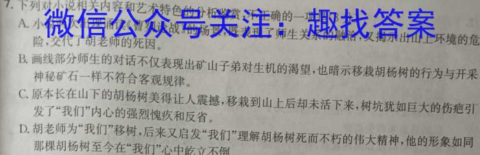 宿州市、市示范高中2023-2024学年度第二学期期中教学质量检测（高二）语文