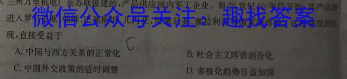 江西省2024届九年级结课评估5L R历史试卷答案