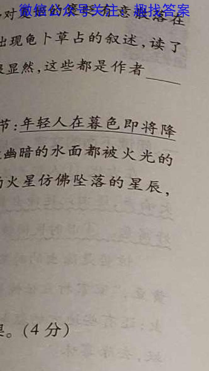 全国名校大联考·2024-2025学年高三第一次联考（月考）语文