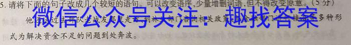 2024年河南省中考冲刺卷(一)语文