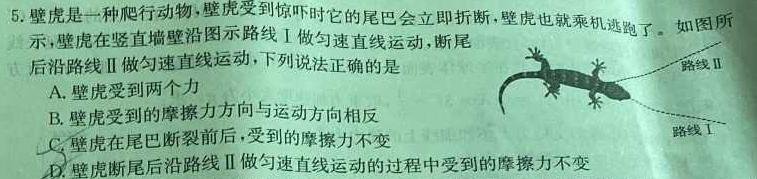 甘肃省天水市麦积区某校2024-2025学年第一学期九年级暑期测试卷(物理)试卷答案