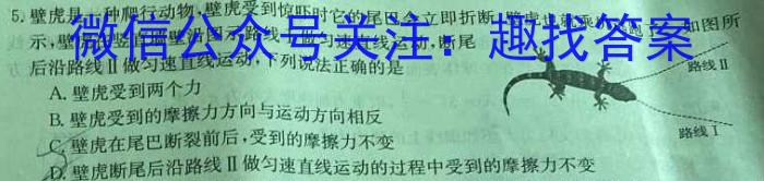 2024届 广东省高三5月联考(24-508C)物理试卷答案