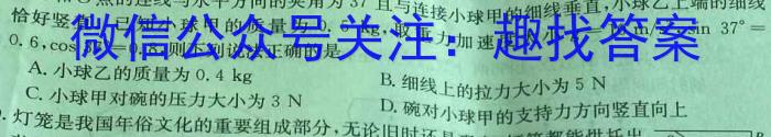 2024届石室金匮高考专家联测卷(六)物理`