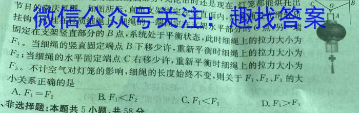 2024年湖南高一入学考试(24-354A)物理`