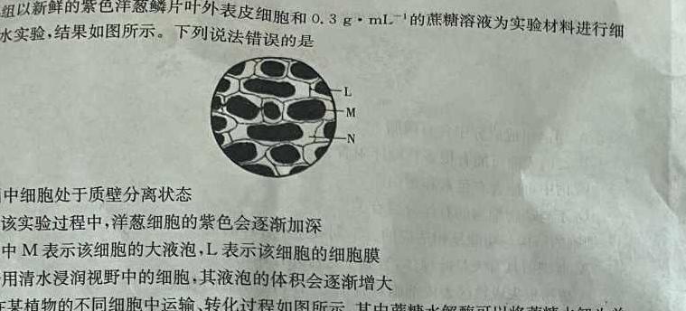 2024届陕西省八年级学业水平质量监测(菱形)生物学
