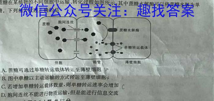 湖北省"腾·云"联盟2023-2024学年高一年级下学期5月联考生物学试题答案