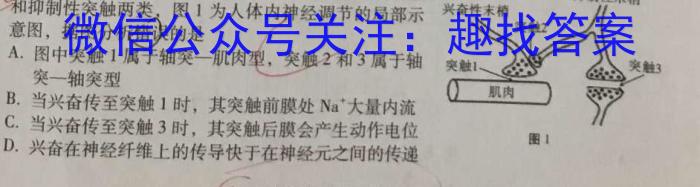 河南省2023-2024学年九年级下期学情调研4生物学试题答案