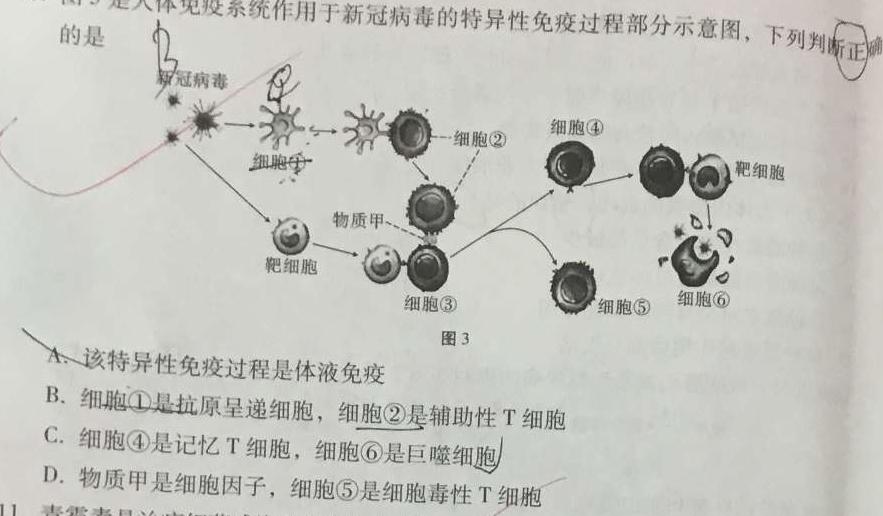 贵州省2024年初中学业水平考试全真模拟卷（一）生物