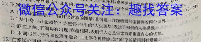 安徽省2023-2024学年第二学期九年级质量监测（4月）语文