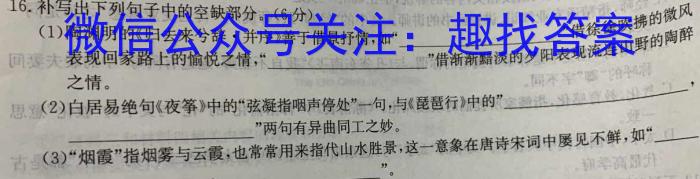 邕衡金卷·名校联盟柳州高中、南宁三中2024届一轮复习诊断性联考（2月）/语文