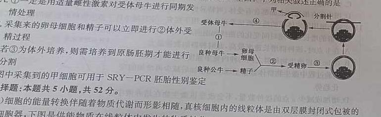 吉林地区普通高中2023-2024学年度高三年级第四次模拟考试生物学部分