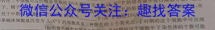 陕西省莲湖区2023-2024学年七年级阶段诊断B（期中考试）生物学试题答案