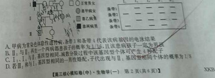 河北省2024年普通高等学校招生全国统一考试模拟试题（一）冲刺卷·新教材生物