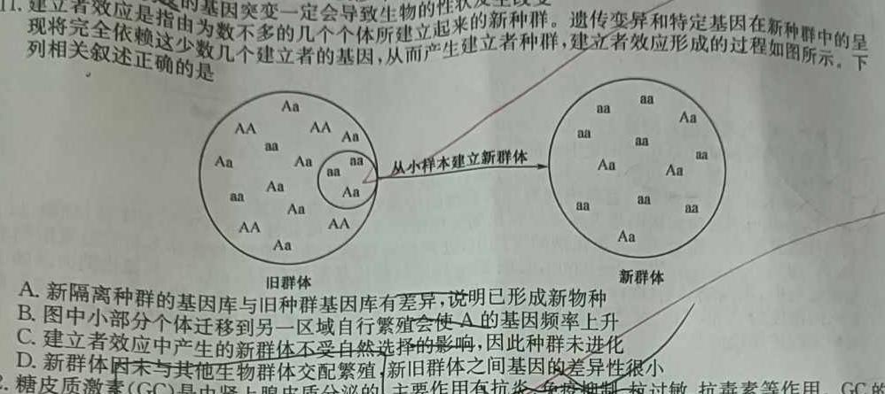 圆创联盟 湖北省2024届高三三月联合测评生物