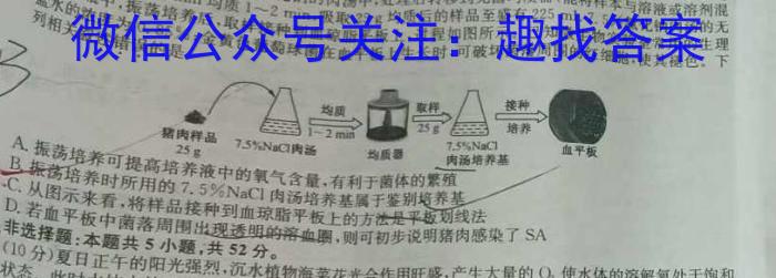 甘肃省酒泉市2023-2024学年高二下学期期中考试生物