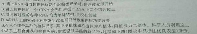 中考必刷卷·2024年安徽省八学业水平考试 压轴冲刺卷二生物