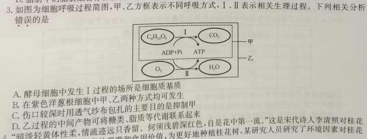 江西省修水县2023-2024学年度七年级下学期期末考试试题卷生物学部分