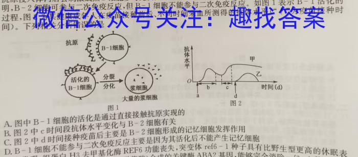 百师联盟 2024届高三开年摸底联考 (新教材75分钟)生物学试题答案