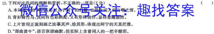 2024年安徽省示范高中皖北协作区第26届高三联考/语文