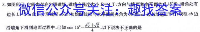 河北省石家庄市第二十八中学2025届九年级开学练习考试物理试题答案