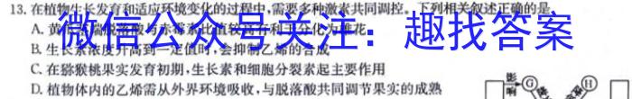 2023-2024学年山东省高二质量监测联合调考(24-548B)生物学试题答案