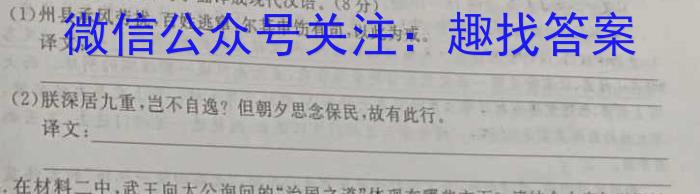 河南省2025届高三8月联考(25-13C)语文