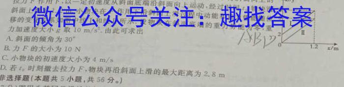 九师联盟 2024届高三2月开学考N答案l物理