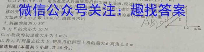 安徽省马鞍山市2025届九年级开学考试物理试卷答案