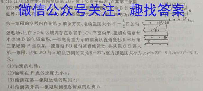 江西省九江市2024-2025学年上学期高二年级开学考试物理试卷答案