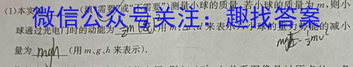 云南省陆良县2023-2024春季学期高二期末考试(24-605B)物理试卷答案