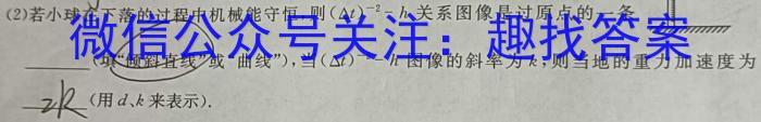 2024年陕西省初中学业水平考试冲刺卷(5.28)物理试题答案