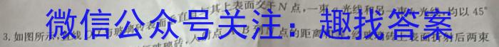 安徽省2024年九年级质量调研检测（二）h物理