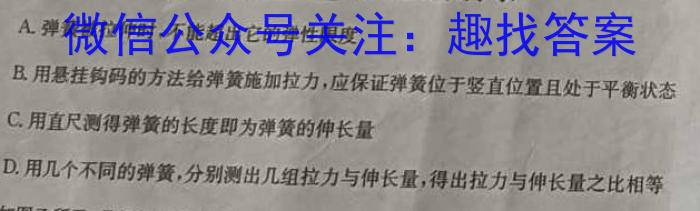 安徽省2024届九年级毕业班第一次模拟考试卷物理`