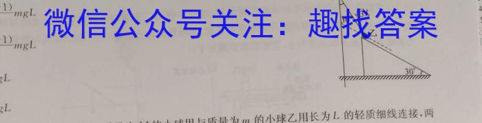 河北省2025届高三年级大数据应用调研联合测评二(Ⅱ)物理试题答案